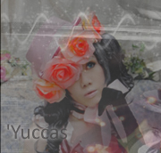 'Yuccas