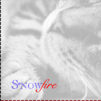 Snowfire