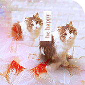 ����������