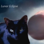 Lunar Eclipse