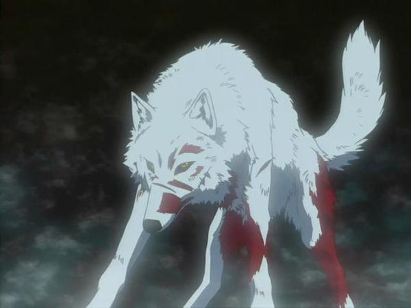 Kiba