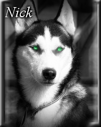 'nick