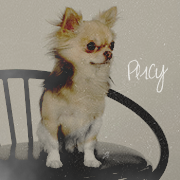 Percy