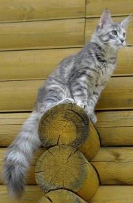 ����-�����