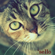 'sello