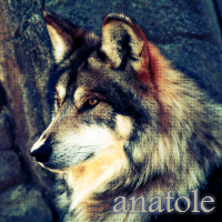 anatole