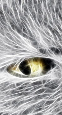 ����������!!!))