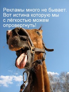 ����� ����� �������