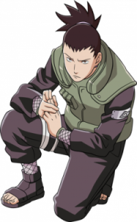 ���� ��������