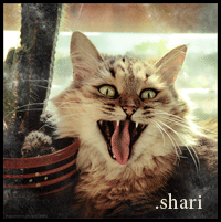 .shari