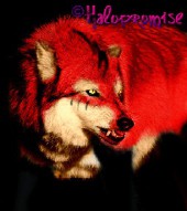 Bloodspill