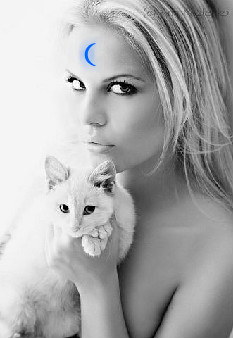 �������� ������