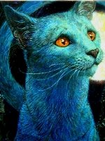 ������� ���