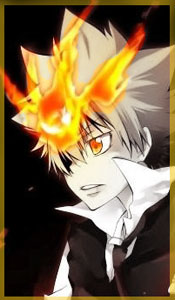 Sawada Tsunayoshi