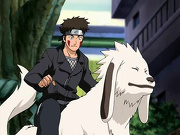 Inuzuka Kiba