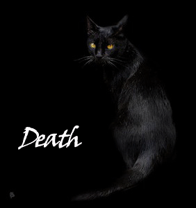 Death