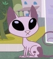 Ms.Kat