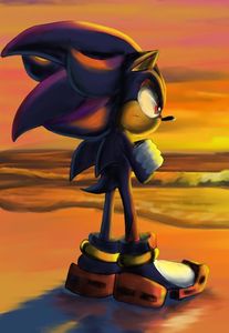 Shadow The Hedgehog