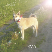 .Eva