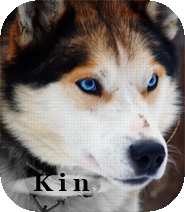 Kin