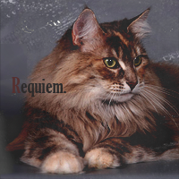 Requiem