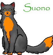 Suono