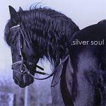 .silver soul