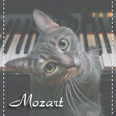 Mozart