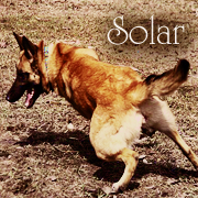 Solar.