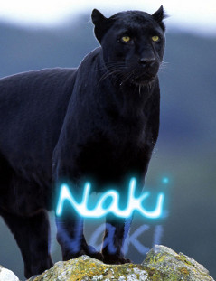 Naki