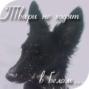 http://forumavatars.ru/img/avatars/000d/bf/b2/16-1296323182.png