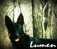 Lumen