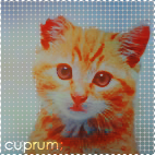 Cuprum