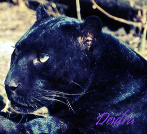 Deri