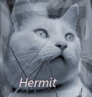 Hermit