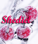 Shediel