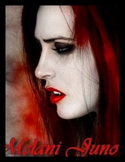 ������ ������ ������