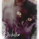 .Blackclaw