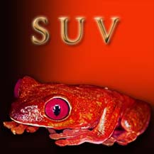 suvernev