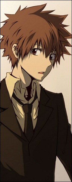 Sawada Tsunayoshi