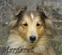 Margaret McLaud