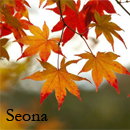 Seona