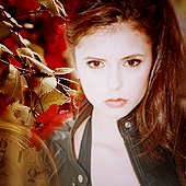 Elena Gilbert