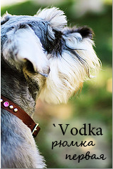 `Vodka