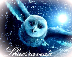 Shaerravedd