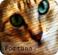 Fortuna.