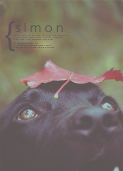 simon