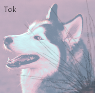 Tok