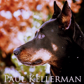 Paul Kellerman