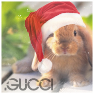.Gucci